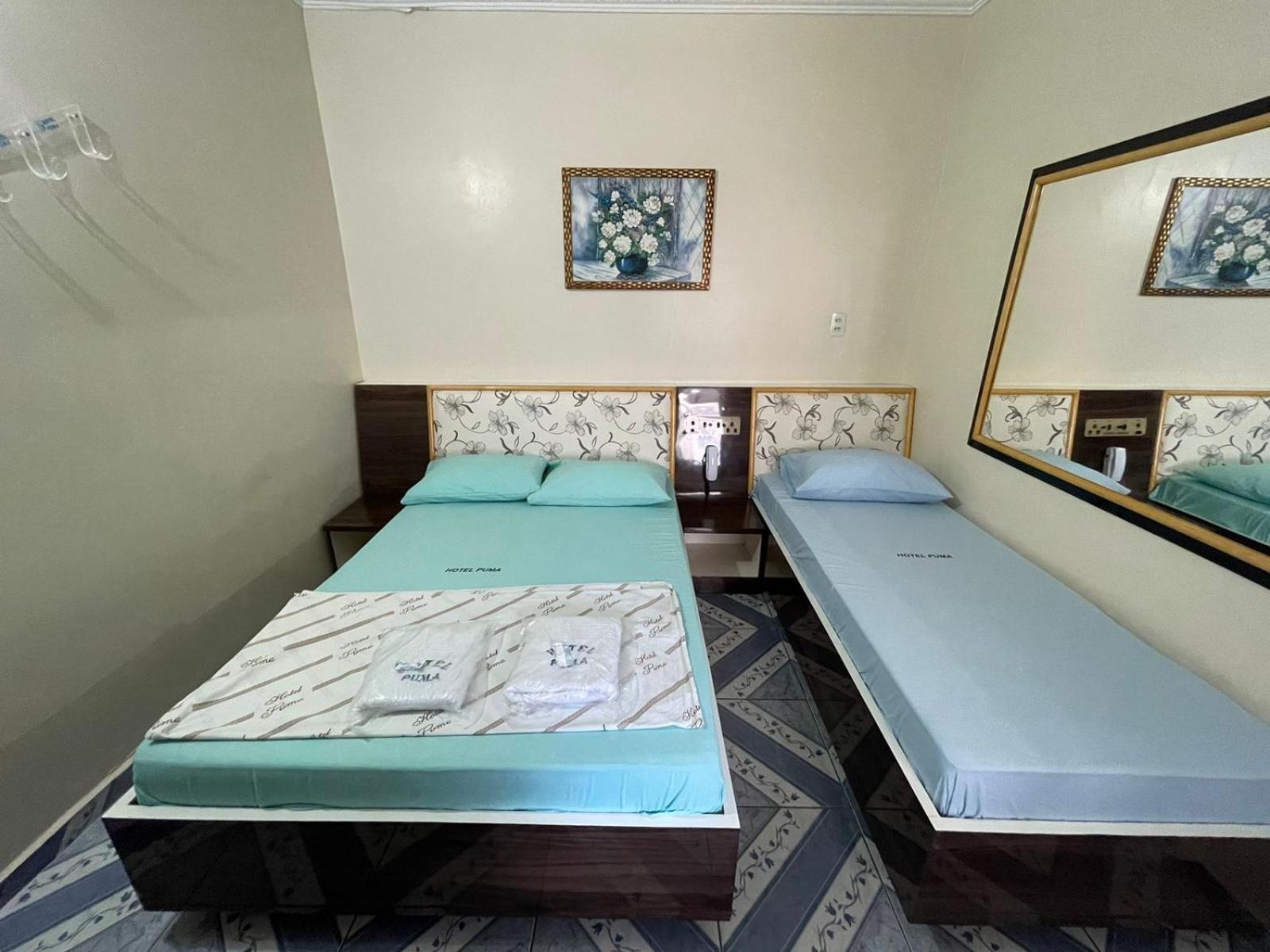 Hotel Puma Сан-Пауло Экстерьер фото